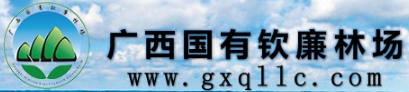 广西国有钦廉林场